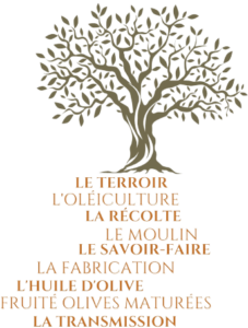 arbre